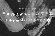 LE AMALFI Elegant Font Duo, a Sans Serif Font by Hishand Studio (Thumbnail 6 of 11)