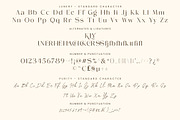 Lunery Purity || Modern Font Duo, a Serif Font by ToniStudio (Thumbnail 12 of 12)