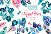 Collage Tropics, a Decorative Illustration by Ekaterina Mikheeva (Thumbnail 1 of 5)
