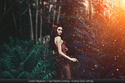 Greenizer & 100 Summer Overlays, a Plug-in Add-On by Pro Add-Ons (Thumbnail 7 of 15)