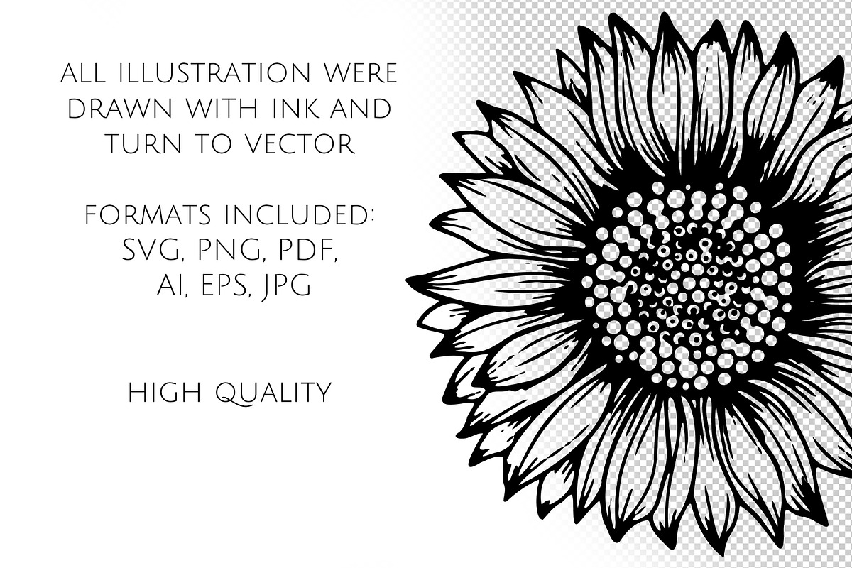 Sunflowers Outline Drawings, an Object Graphic by Dervik Art Store (Photo 6 of 7)