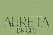 CS Aureta Bricks, a Sans Serif Font by Craft Supply Co. (Thumbnail 1 of 8)