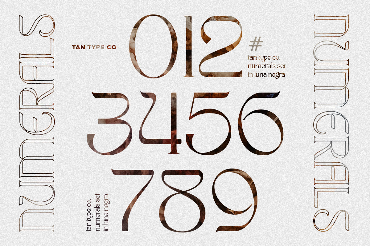 TAN - LUNA NEGRA, a Serif Font by TanType (Photo 9 of 16)