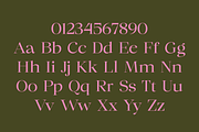 Chilton - Family Serif, a Serif Font by Marvadesign (Thumbnail 10 of 12)