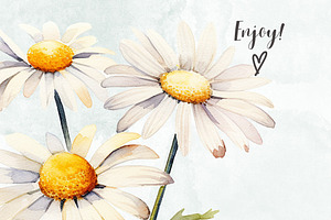 Daisy Flowers Watercolor Clipart Set