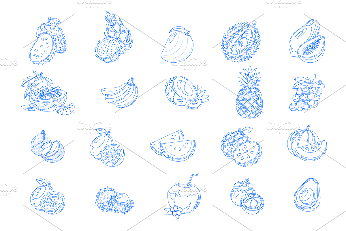 20 Tropical Fruits Icons Vector Set, an Object Graphic by Art of Sun (Photo 3 of 3)