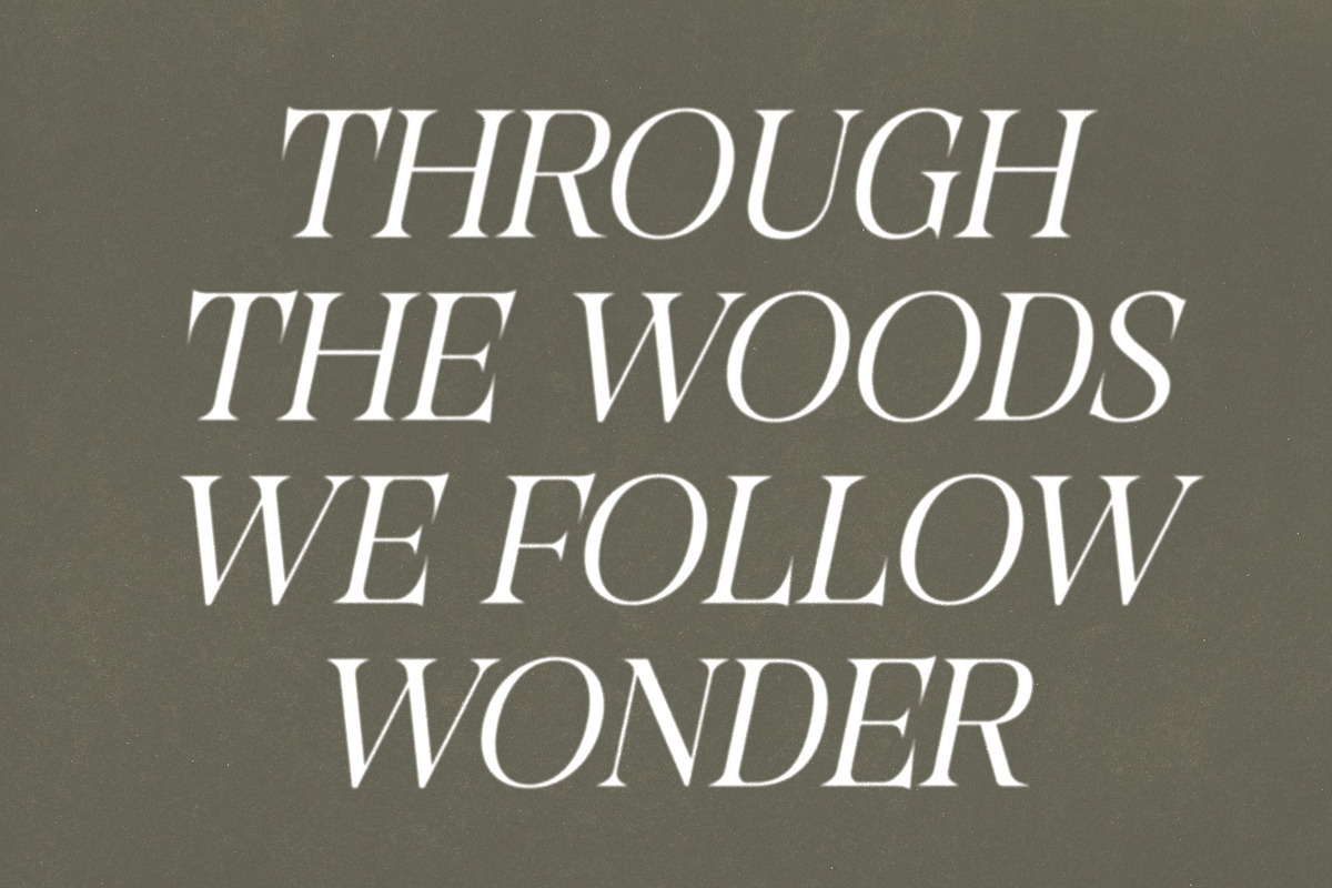 CS Regus – Modern Serif Font, a Serif Font by Craft Supply Co. (Photo 3 of 8)