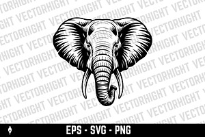 Illustration of Elephant head., an Animal Illustration by Vectorhight