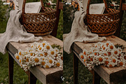 Eden Lightroom Presets, a Preset Add-On by CVR Presets (Thumbnail 3 of 6)