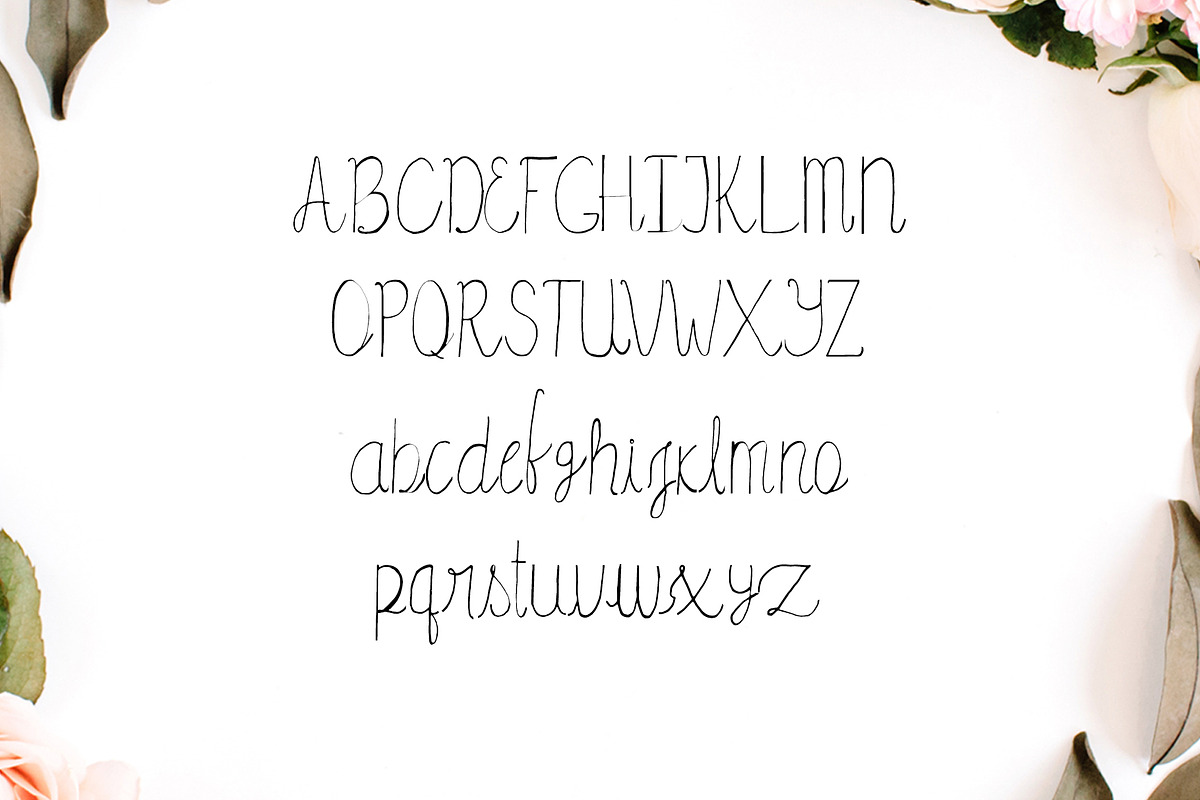 Amidala Script Font preview 2