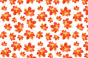 Set of autumn leaves+patterns., a Decorative Illustration by Della_Liner (Thumbnail 5 of 8)