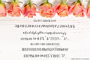 Reynolds Script and Sans Duo, a Script Font by Beck McCormick (Thumbnail 10 of 11)