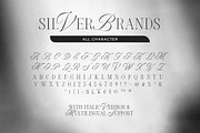 Silver Brands - Elegant Mixed Serif, a Serif Font by Bale Type (Thumbnail 9 of 9)