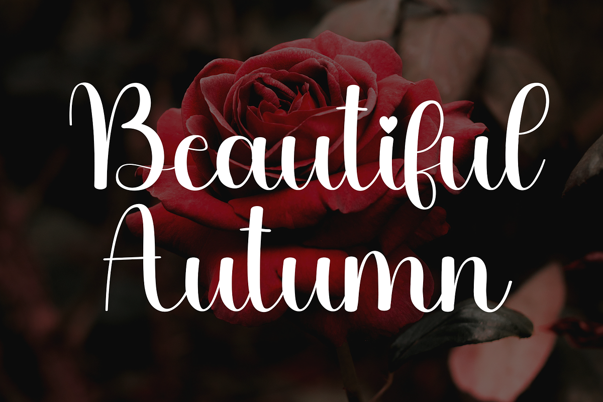 Hello Autumn, a Handwritten Font by FreshTypeINK (Photo 6 of 8)