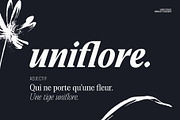 Saigon Minimalist Serif - Basic Pack, a Serif Font by The Paper Town (Thumbnail 6 of 16)