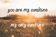 RD Sunshine - Monoline Script Font, a Script Font by RissDesign (Thumbnail 3 of 3)