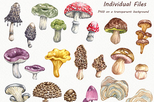 Forest Mushrooms Fall Collection