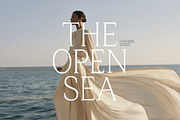 Aurevia Serif contemporary elegance., a Serif Font by kavoon (Thumbnail 5 of 19)