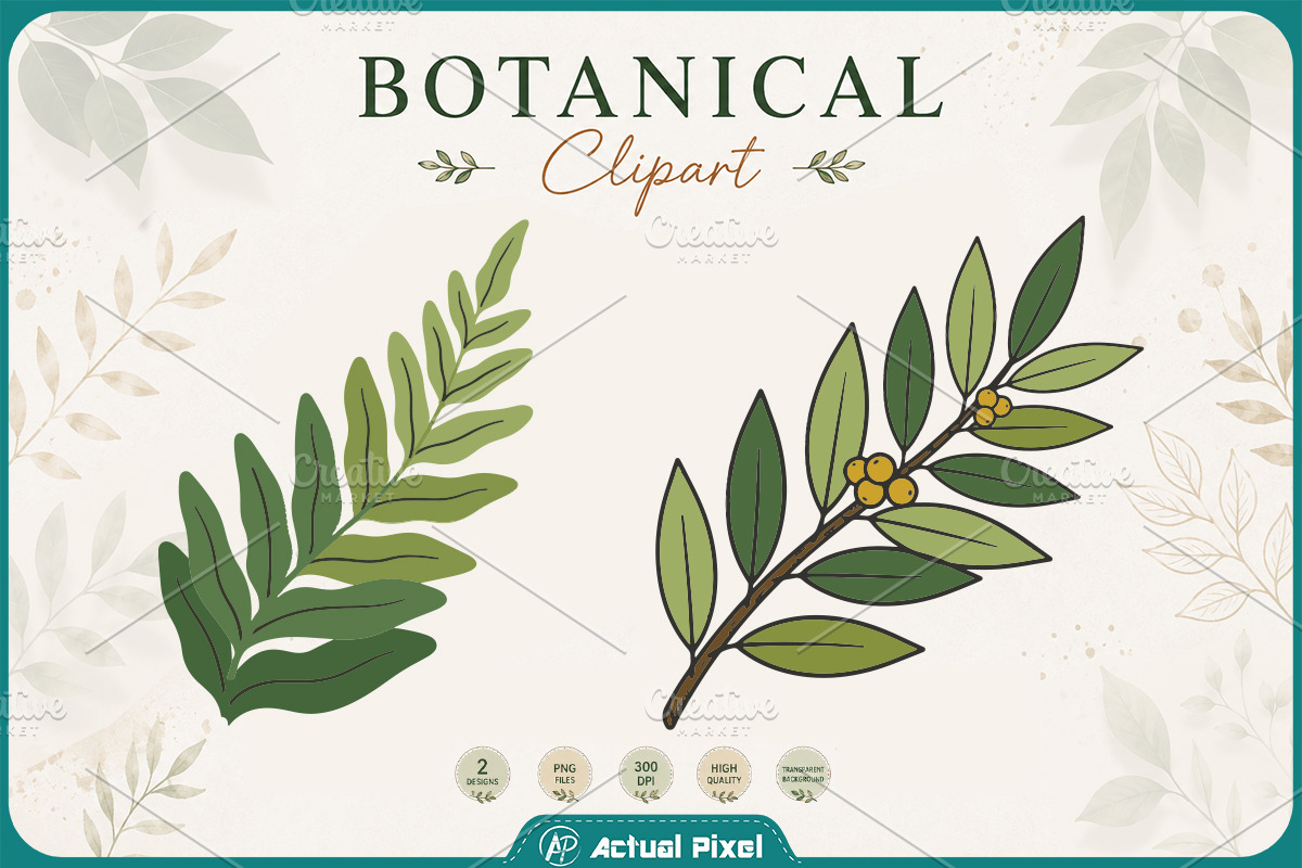 Boho Botanical Leaves Clipart Bundle, a Nature Photo by Actual Pixel (Photo 16 of 21)
