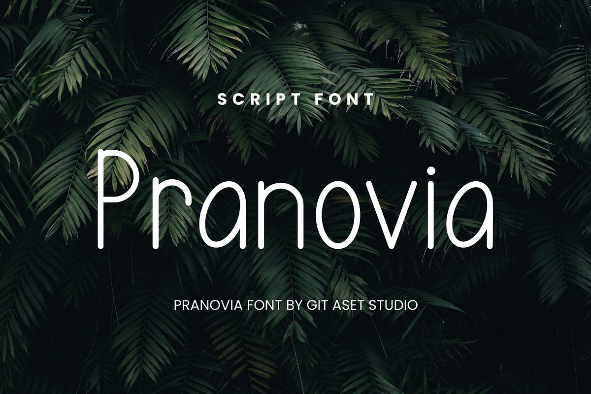 Pranovia Display Typeface, a Handwritten Font by gitasetstudio (Photo 1 of 6)