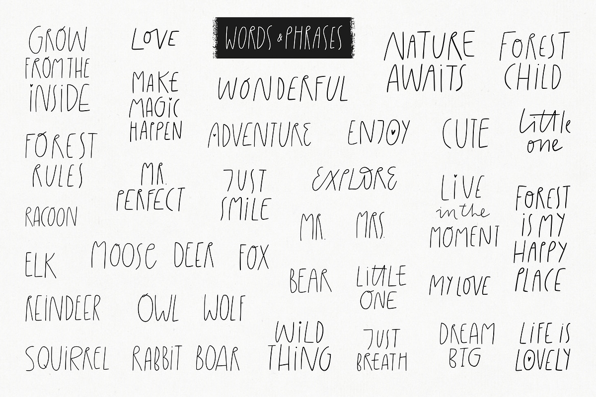 Woodland | 100% hand drawn clipart, an Animal Illustration by Olia (Photo 4 of 17)