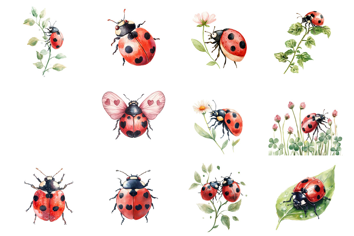 Ladybugs Clipart, an Illustration by Design Market (Photo 3 of 5)