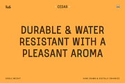Cedar Display Font, a Sans Serif Font by bryrude (Thumbnail 5 of 5)
