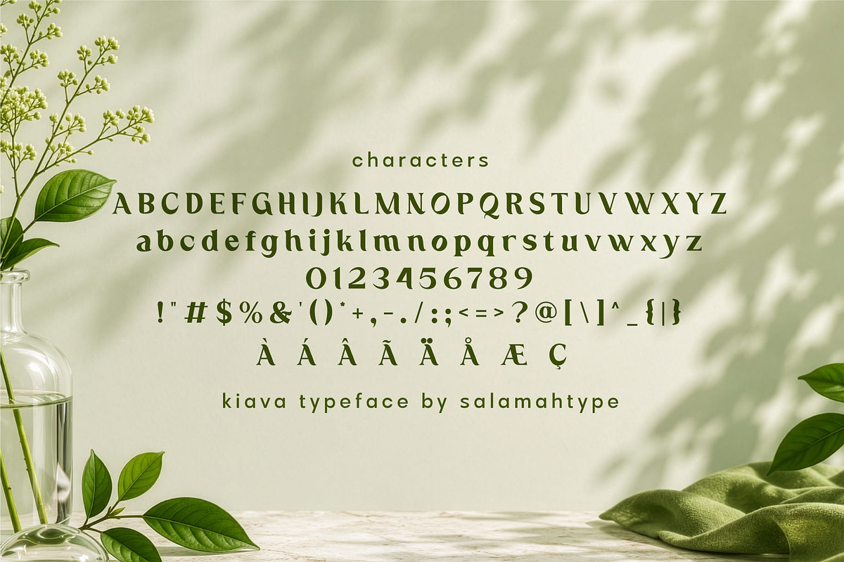 Kiava – Luxury Display Serif, a Serif Font by Salamahtype (Photo 8 of 8)