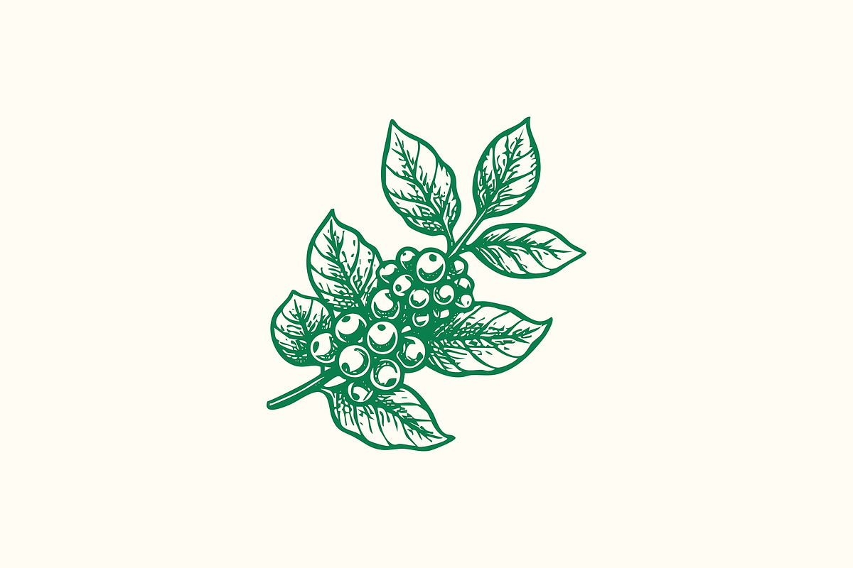 Coffee & Barista Illustration Set, a Food Illustration by ™Creasi (Photo 5 of 6)