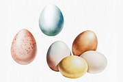 Village chickens Watercolor Clipart, an Object Graphic by MyLittleMeow (Thumbnail 6 of 7)
