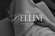 Monique Display Duo Font | Logo Font, a Serif Font by Calamar Studio (Thumbnail 18 of 18)
