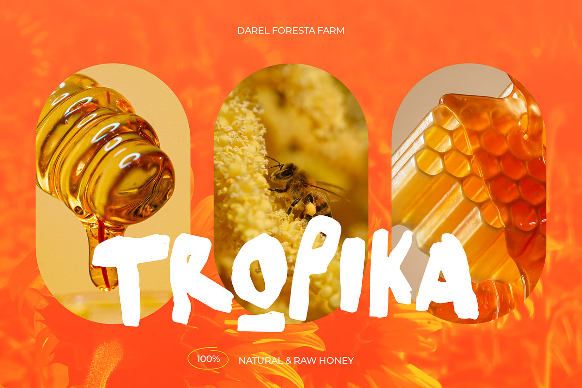 WILDENCE Organic Display, a Handwritten Font by Cruizy & Co (Photo 3 of 15)