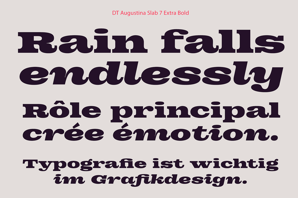 DT Augustina Slab 7 Subfamily, a Slab Serif Font by Deveze Type Foundry (Photo 16 of 31)