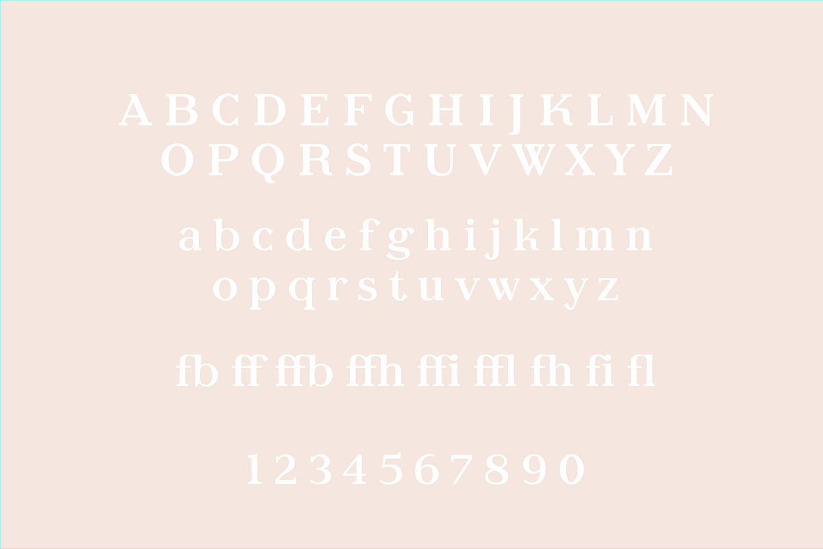 Gratuitous - A Classic Slab Serif, a Slab Serif Font by Anya-D (Photo 3 of 14)