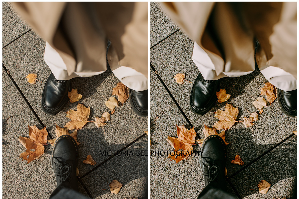 FALL LIGHTROOM PRESETS BRIGHT AUTUMN, a Preset Add-On by Victoria Bee Presets (Photo 4 of 9)