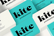 Imagist Intro Super Sale!, a Serif Font by Fenotype (Thumbnail 4 of 10)