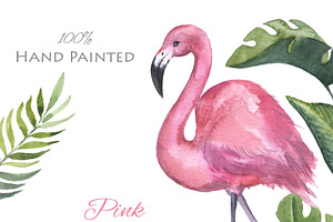 Watercolor Flamingo Clipart. Tropic