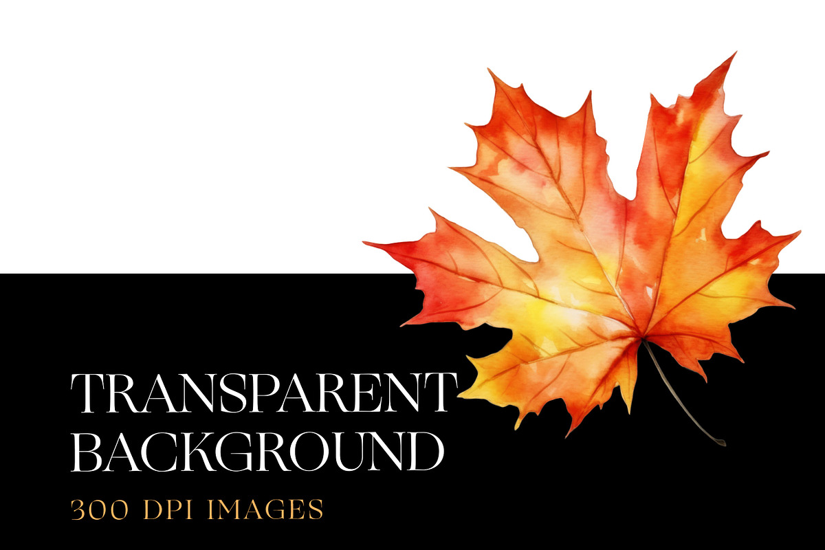 Fall Leaves Clipart, Autumn Leaf PNG, a Decorative Illustration by BrushstrokeArtGB (Photo 7 of 9)