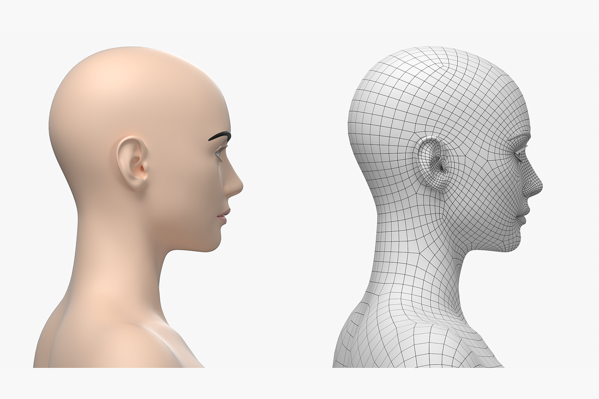 Natural Female 01 A-Pose Base Mesh, a Characters & Person 3D Model by VK Studio (Photo 14 of 26)
