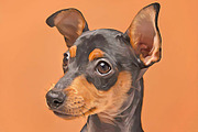 Oil Painting, an Action Add-On by MRI STUDIO (Thumbnail 9 of 10)