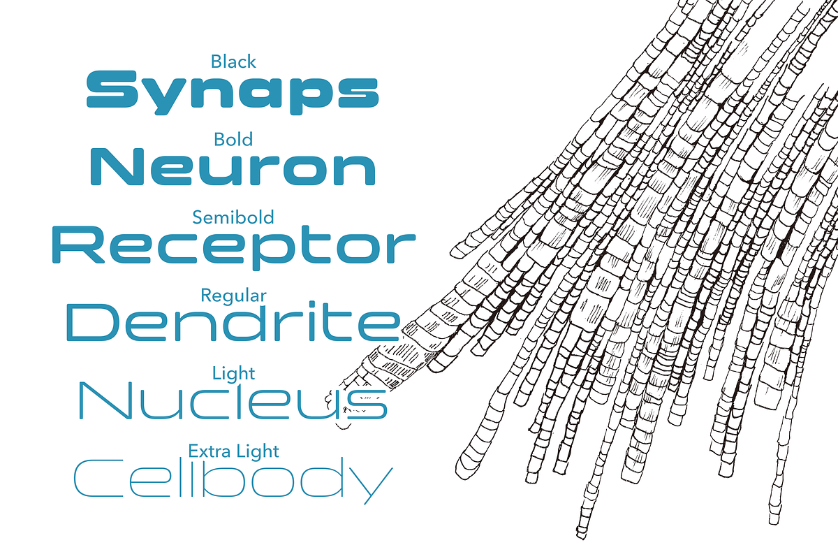 Clonoid, a Sans Serif Font by Dharma Type (Photo 9 of 10)