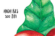 Watercolor Coffee Bean, a Food Illustration by andypray (Thumbnail 3 of 4)