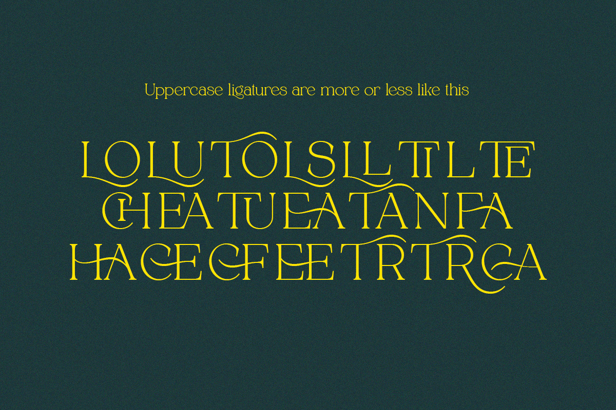 Alpinecia, a Serif Font by Pista Mova (Photo 15 of 19)