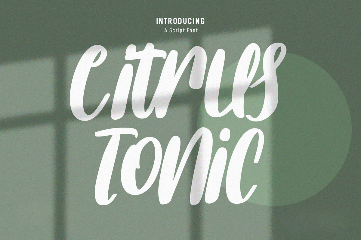 Citrus Tonic Handwritten Script Font, a Script Font by MACK 75 (Photo 1 of 3)
