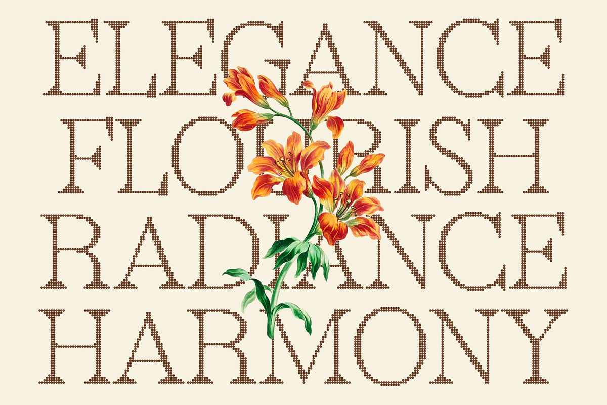 Rivania Disco, a Serif Font by Craft Supply Co. (Photo 5 of 8)