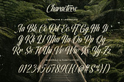 Olivelifes Script Font, a Script Font by alit design (Thumbnail 5 of 15)