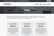 Monefy - best for small business, a WordPress Template by bozekmichal (Thumbnail 4 of 5)