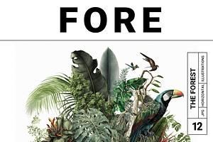 Fore Collection · The Forest, a Decorative Illustration by milatovar
