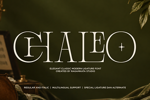 Chaleo - Stylish Ligature Serif Font