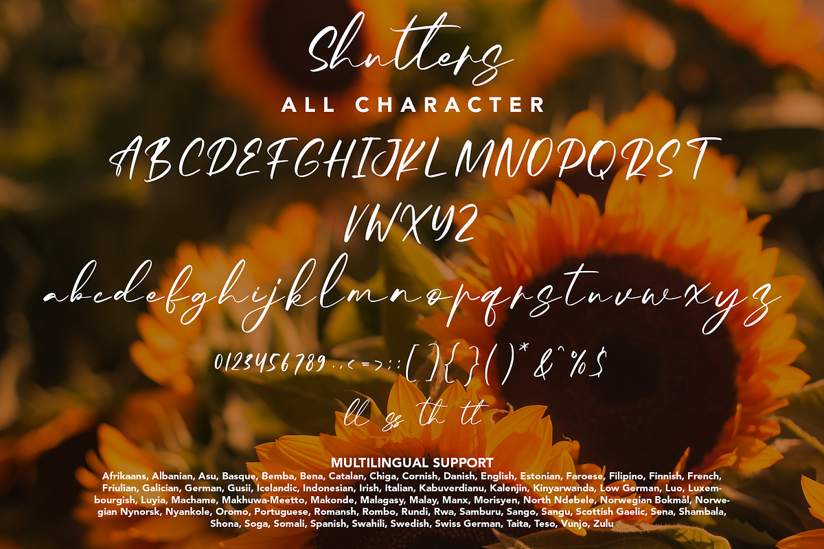 Shutters - Beauty Handwritten Font, a Handwritten Font by Arendxstudio (Photo 9 of 9)